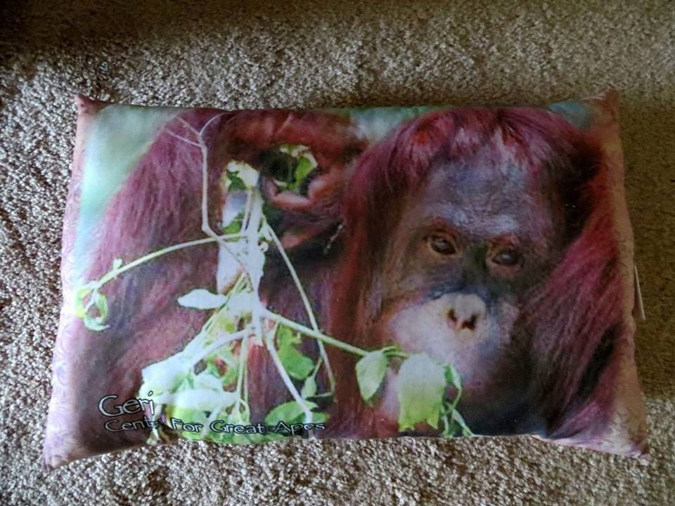 orangutan pillow