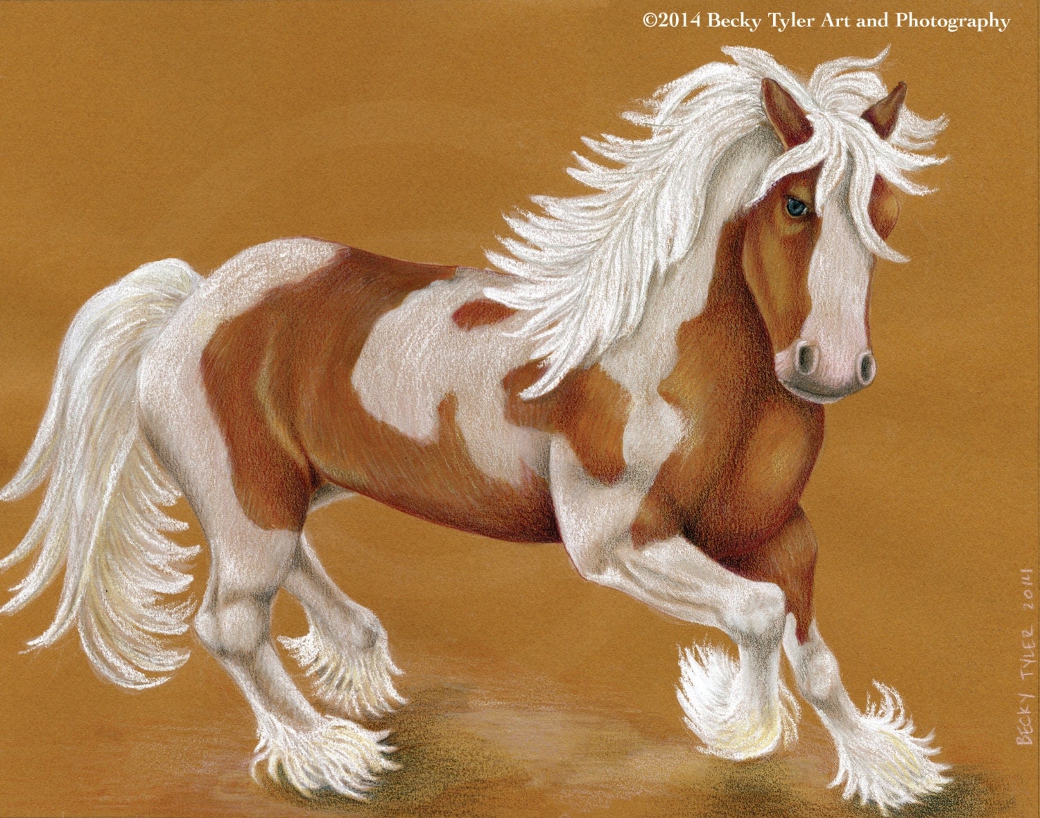 Wild Clydesdale Horse Original Drawing