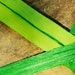 adventure time grass sword toy