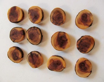 Twelve Wood thumbtacks Push pins made of juniper wood.