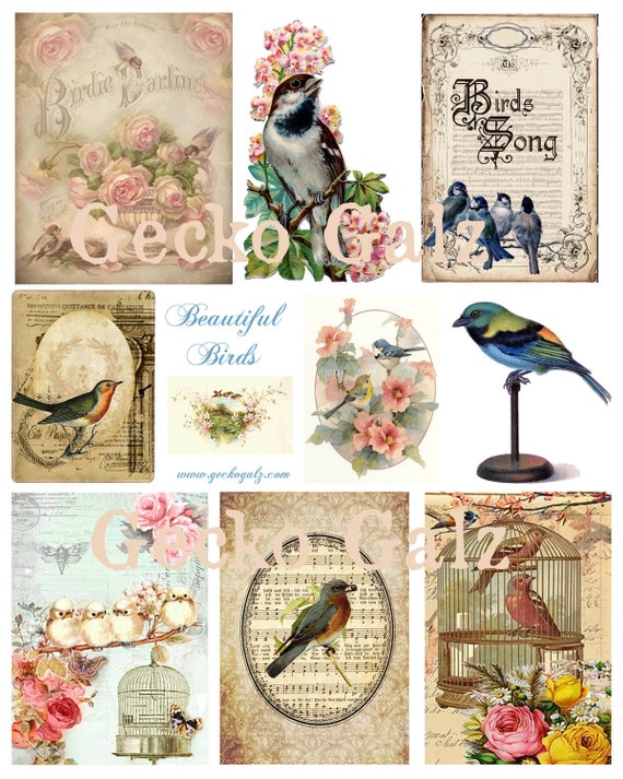 Beautiful Birds Digital Collage Sheet