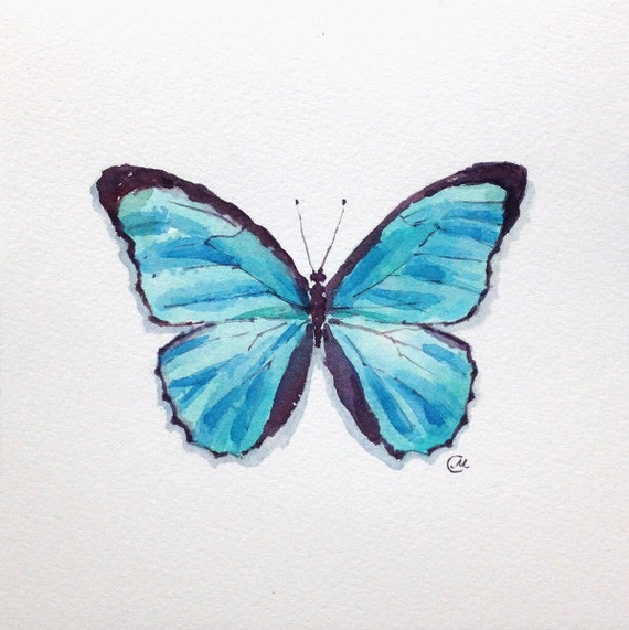 Watercolor Butterfly - Original Watercolor Painting 7 4/5 x 7 4/5 inches