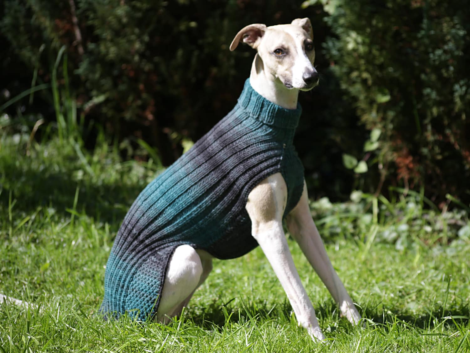 Good Wit Knit on Etsybeautifully knit whippet sweaters