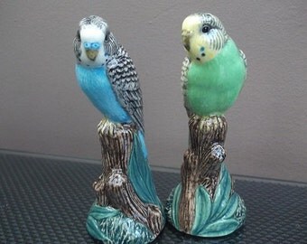Budgerigar Salt and Pepper Shaker Blue and Green Budgerigar Cruet Hand Painted