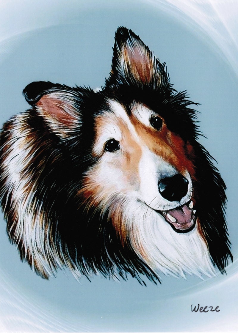 Sheltie Sheltie Art Sheltie Painting Shetland Sheepdog