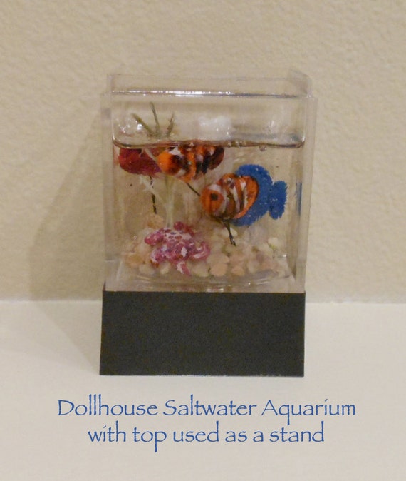 Dollhouse Aquarium Saltwater Fish Tank by creativecraftsforU