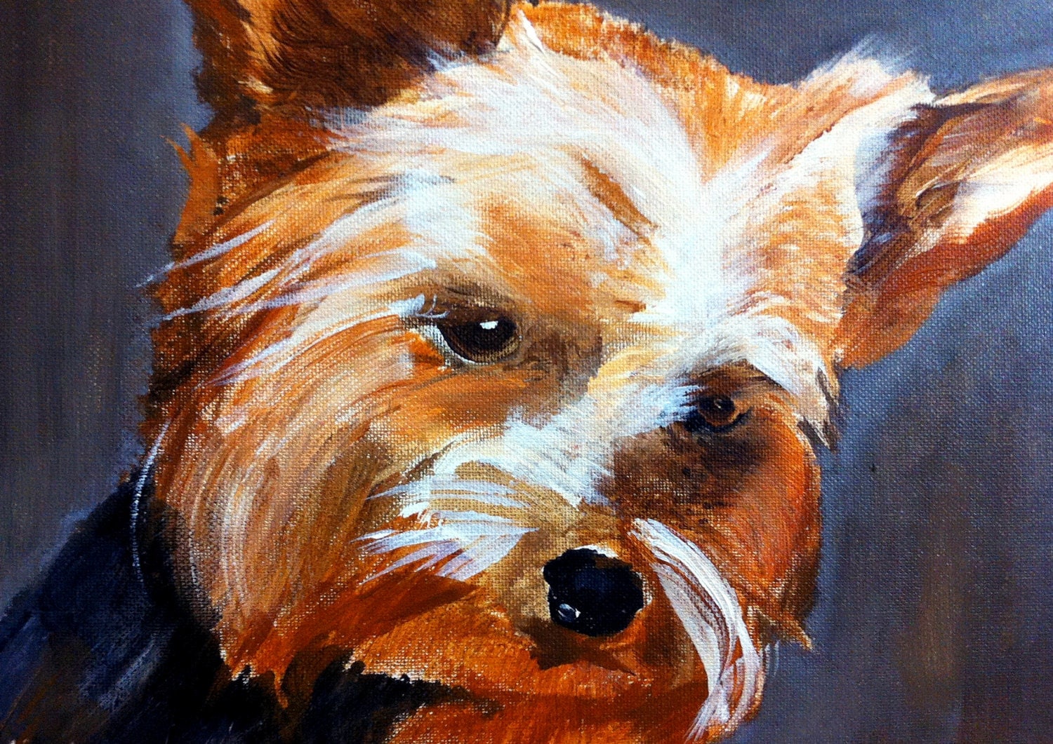 Yorkshire Terrier Puppy Acrylic Painting framed