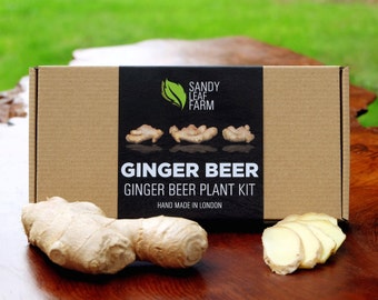 Spicy Ginger Beer Plant Kit