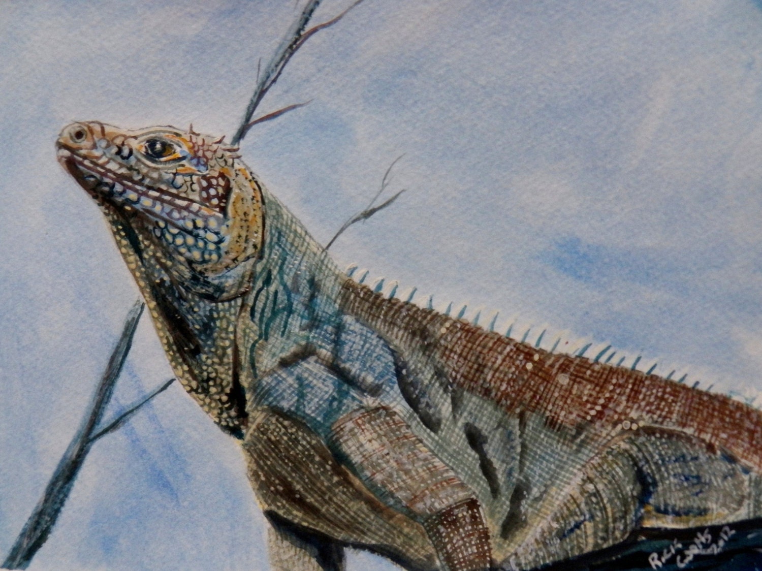 Blue Iguana original watercolor reptile art lizard