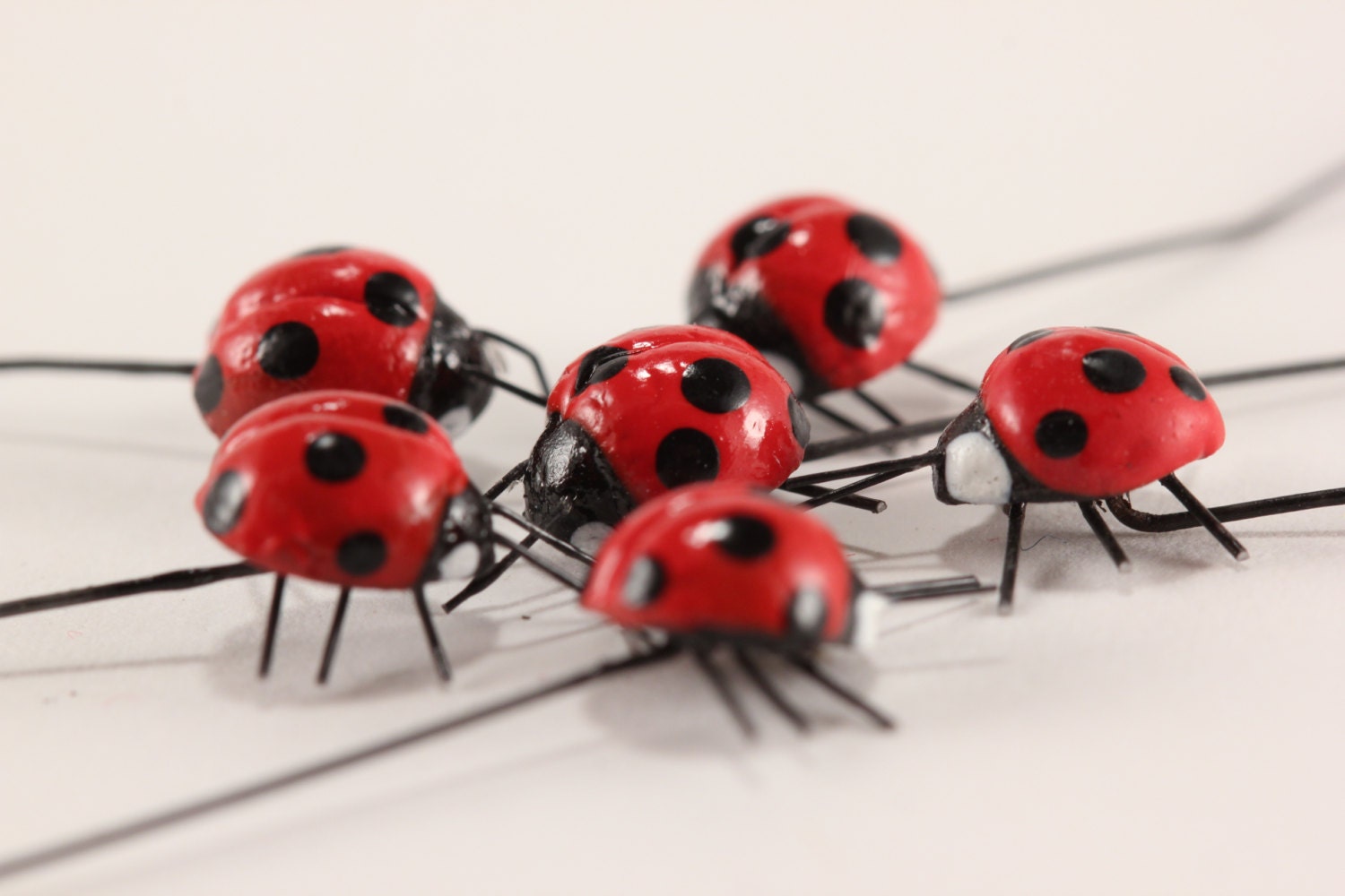 6 Mini Lady Bugs .Wedding Terrarium Nature Craft supply