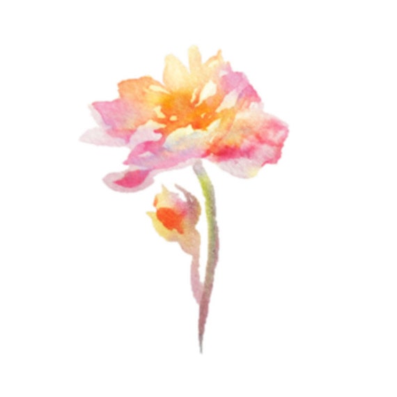 Pretty Pink and Orange Flower Clip Art Watercolour Flower