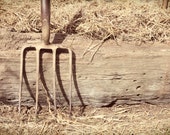 Gardening Fork Photographic Print - Garden fork at allotment