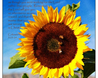 Popular items for sunflower poster on Etsy