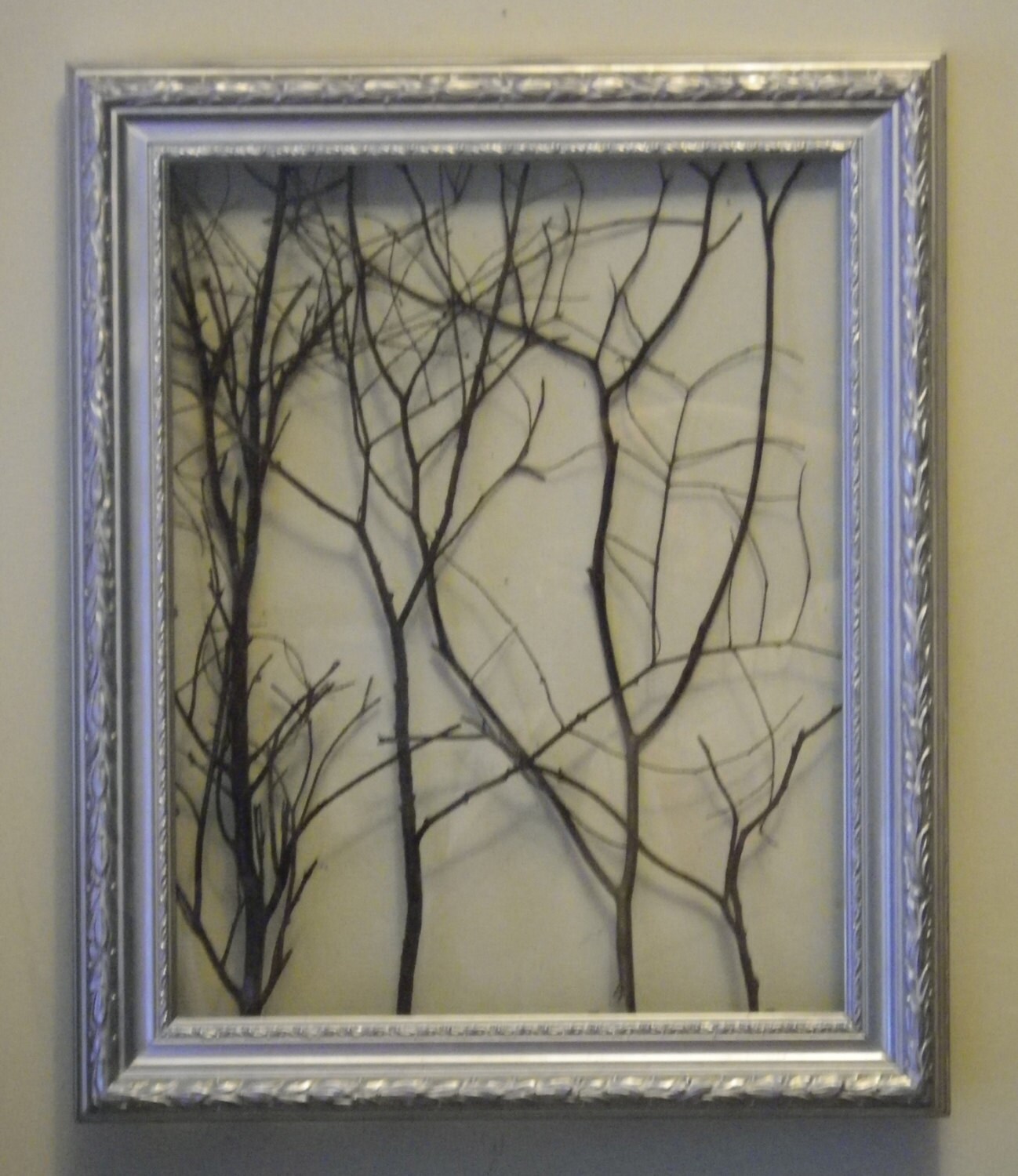 Silver Framed Twig Art 14 x 17