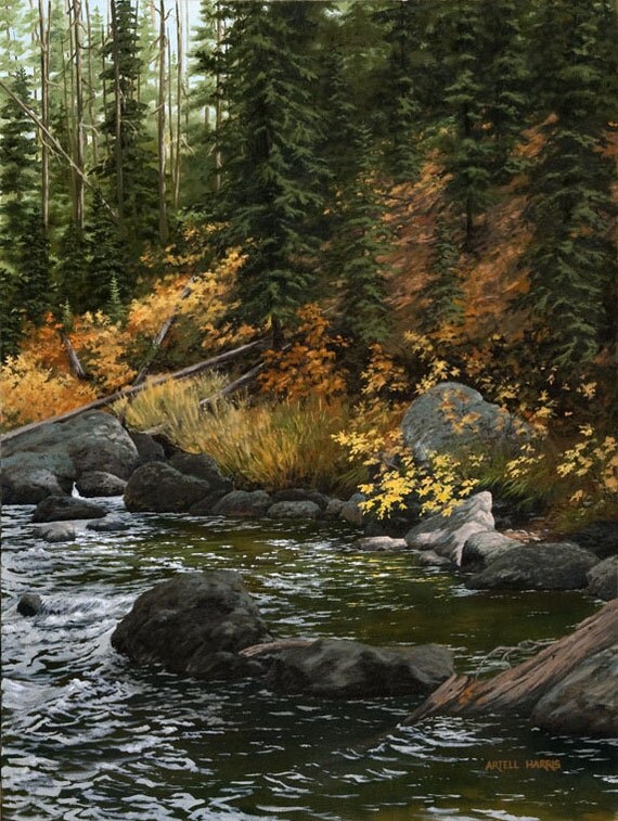 Coffee Pot Rapids north fork of the Snake River Idaho.