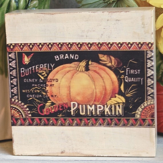 pumpkin seed packets pumpkin seed packets
