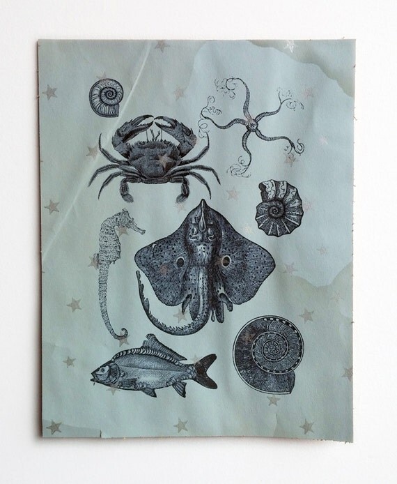 Items similar to Sea Life Art Print on Vintage Wallpaper  Beach decor, bathroom decor, beach 