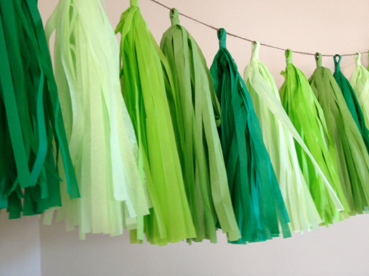 GREEN OMBRE / tissue paper tassel garland / photo backdrop / nursery decoration / wedding decorations / birthday decor / party decorations