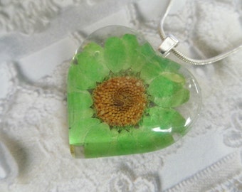 Lime Green Daisy Pressed Flower Glass Heart Pendant-Symbolizes Loyal Love-Gifts Under 25-Nature's Wearable Art
