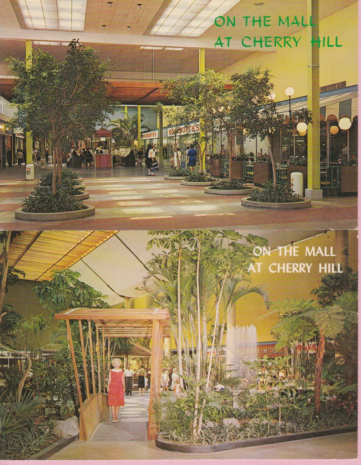 Pair Ca. 1960s Cherry Hill Mall in Cherry by PecanHillPostcards