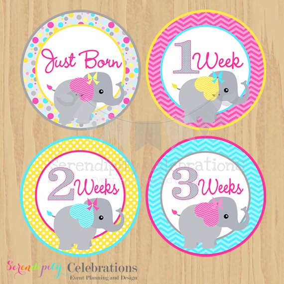 Printable Baby Monthly Stickers Baby by SerendipityPrintable