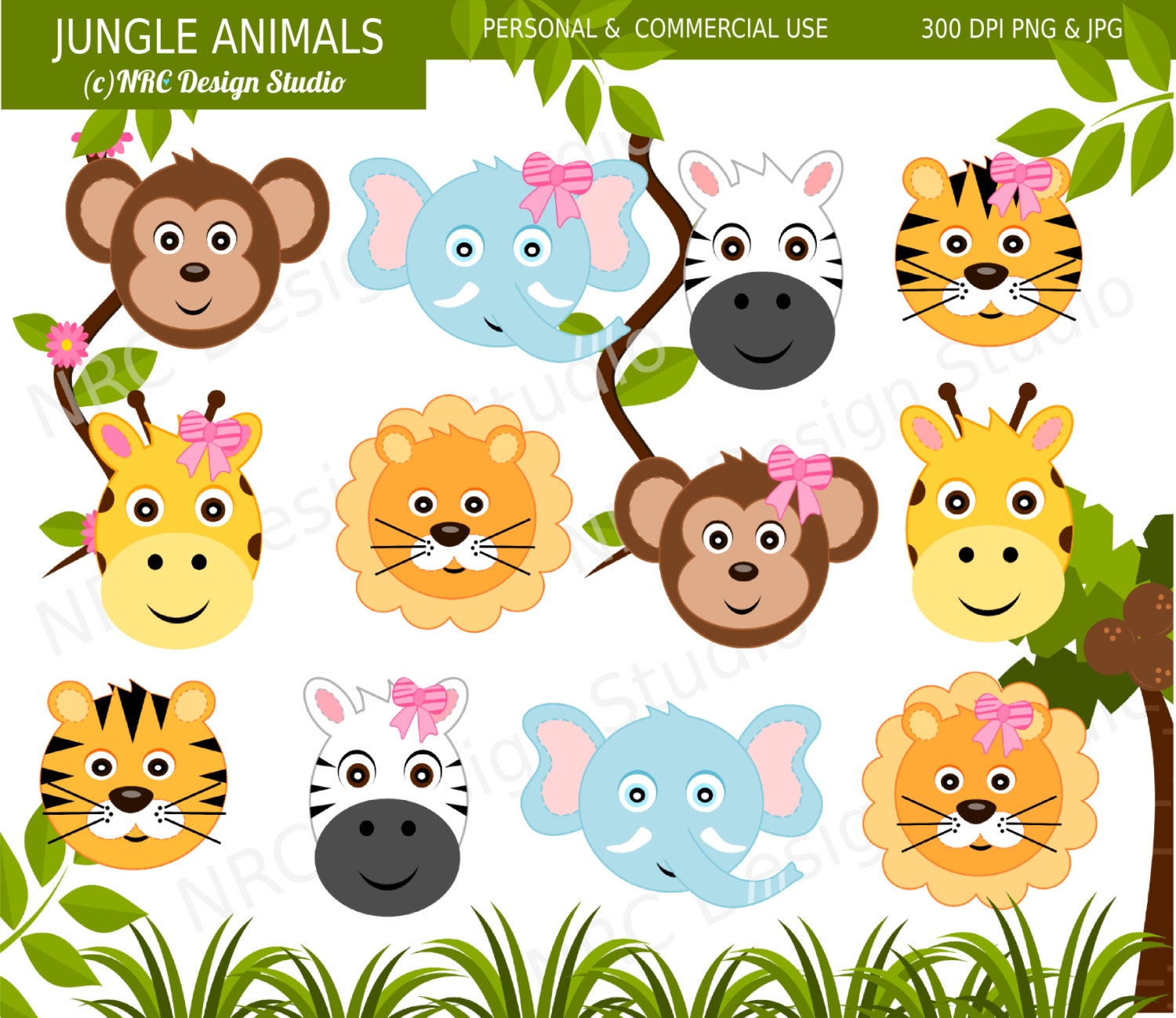 jungle safari animals clip art - photo #13