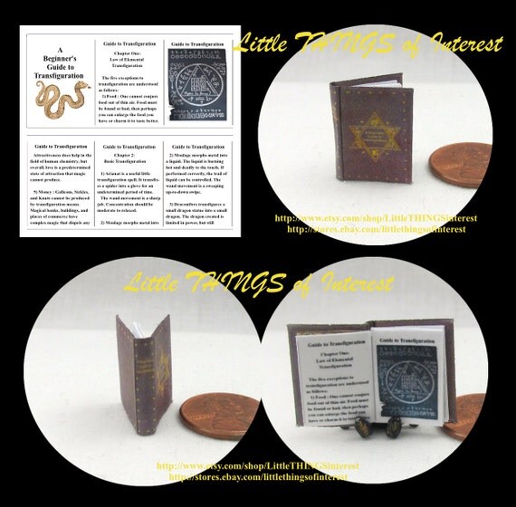 A Beginner s Guide To TRANSFIGURATION By LittleTHINGSinterest