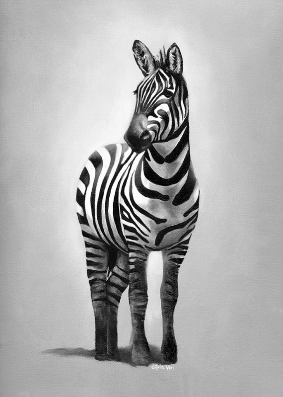 Zebra original oil painting black and white on by SilviaVeri