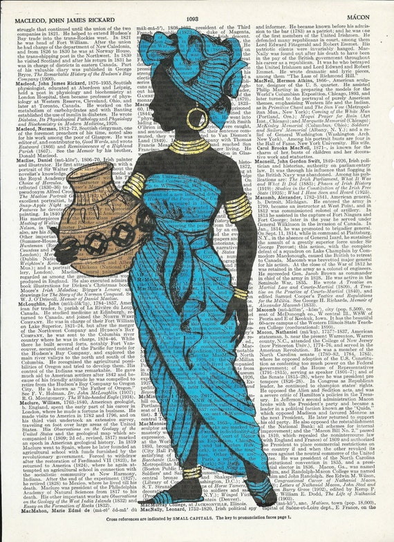 Vintage Illustration of  Beautiful African Woman on Dictionary Art Print onUpcycle Vintage Page Book Print Art Print Collage Print