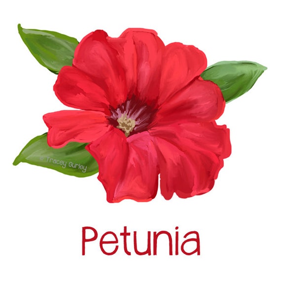 Red Petunia Painting Original Art petunia clip art petunia