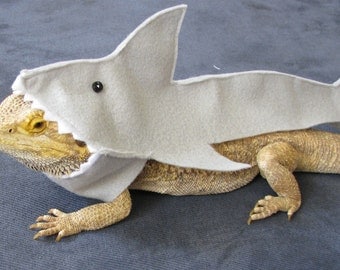 Great White Shark Costume for Bearded Dragons! Shown on Discovery's Shark Week!!!