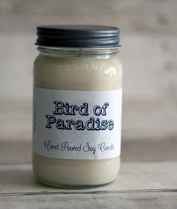 Bird of Paradise 16 oz Soy Candle by LFacioDesigns on Etsy