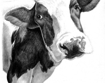 Popular items for cow drawing on Etsy