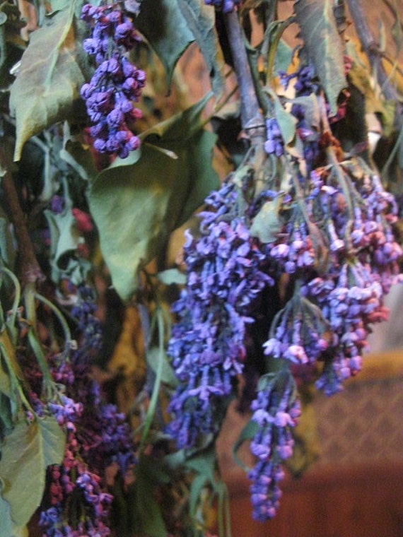 LILAC naturally DRiED FLOWER Bunches