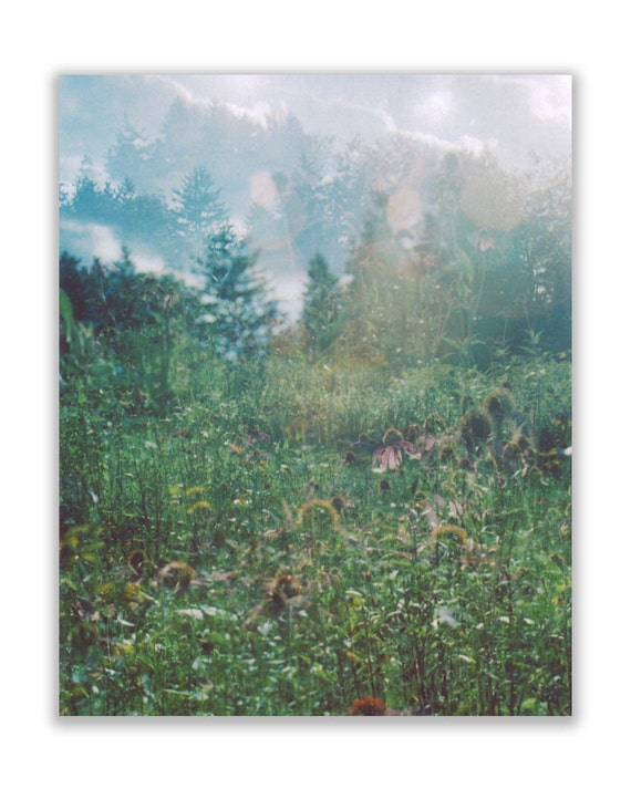 Beautiful Spa Composition Forest Floral Nature Photography Canvas Wall Art  for H cheap US store