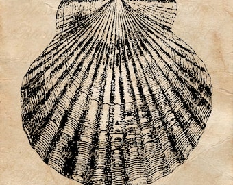 download mycorrhiza manual