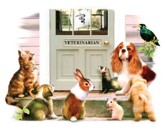 Cavalier King Charles Spaniel w Friends called "Visit with the Vet" on ONE 16 inch Fabric Panel to Sew. Actual picture is 8" x 11" on white.