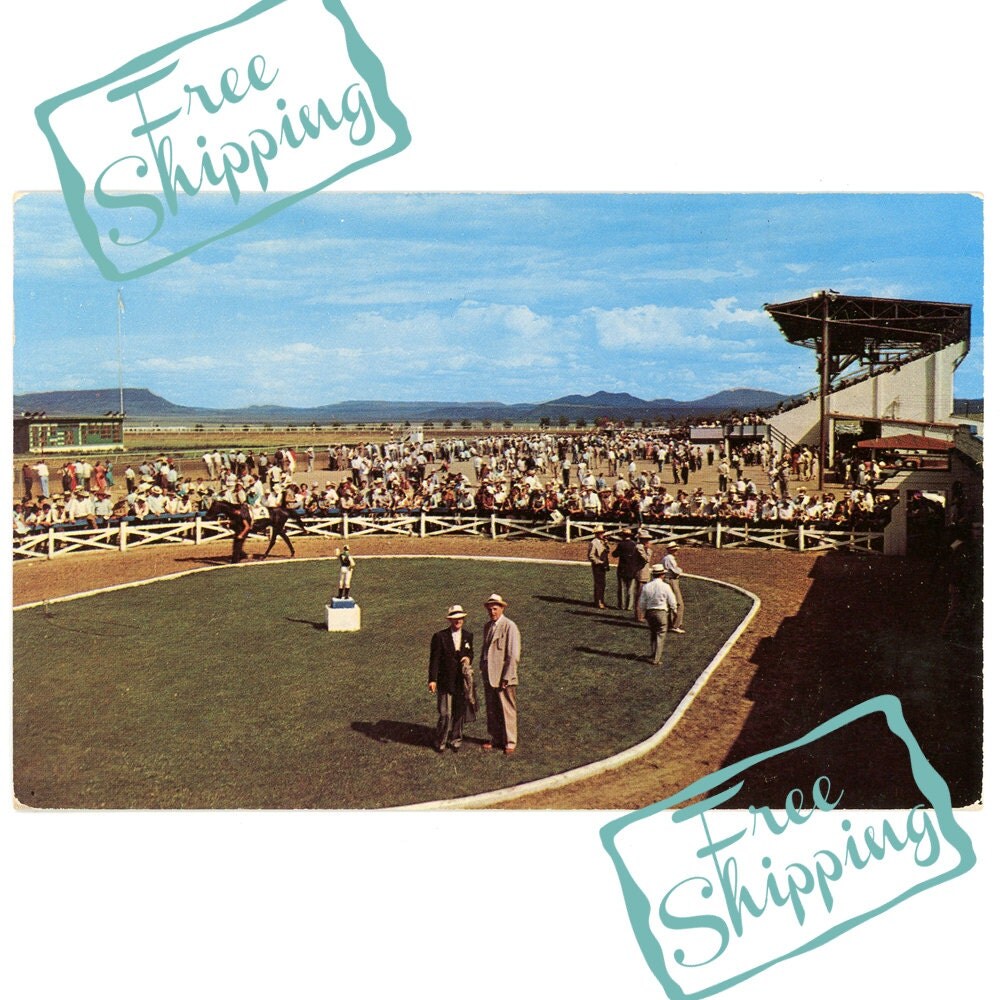 Raton New Mexico Race Track Postcard La Mesa Park by Preludes2Art