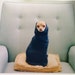 chicdesigns08