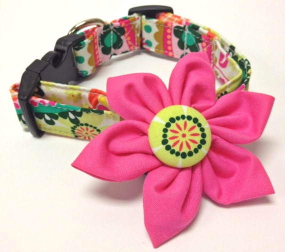 Items similar to Dog Collar Flower Set Botanical Collars With Curb