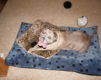 Doodlebug Dud's Doodle Dome Pet Bed Size Medium 12-25