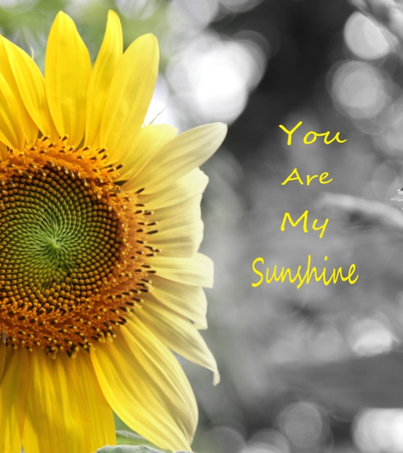 You are my sunshine sunflowers bright yellow inspirational