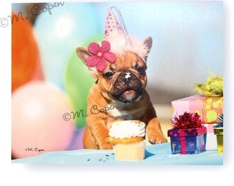 French Bulldog Birthday Card 3-D Card with Flowers Happy