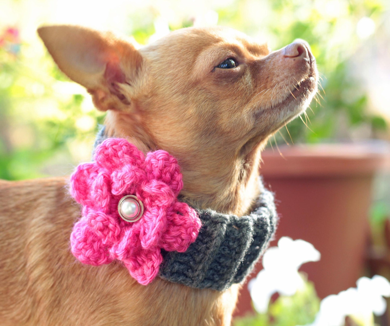 crochet dog cowl scarf pattern with flower / pdf /digital