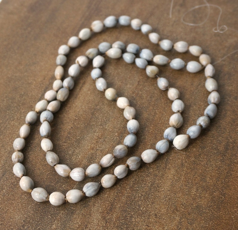 Job's Tears Beads Natural Seed Earthy Organic