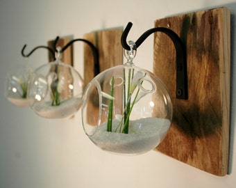 individual glass globe wall decor each mounted to recycled wood board with wrought iron hook for unique home decor wall decor kitchen decor - Unique Home Decorations individual glass globe wall decor each mounted to recycled wood board with wrought iron hook for unique home decor wall decor kitchen decor - Unique Home Decorations