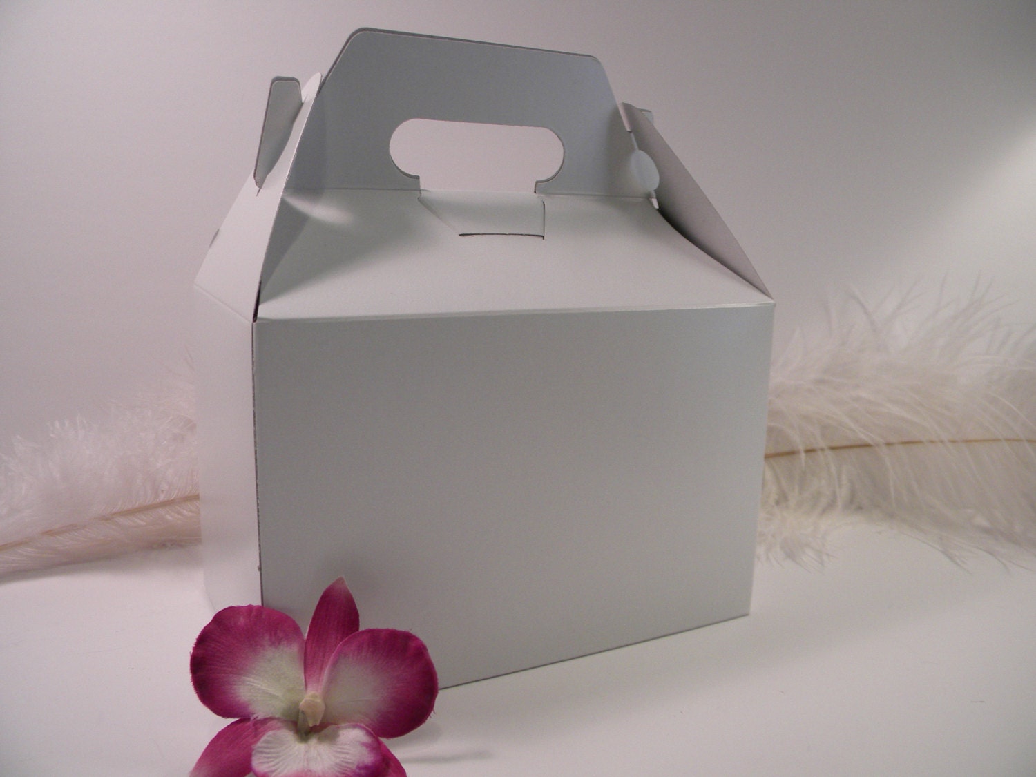White Gable Boxes 20 Large Favor Boxes Overnight Guest