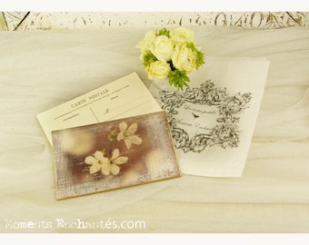 Postcard France Dijon "Le printemps" carterie artistique
