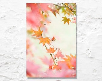 fall color photograph fine art photography pink orange autumn leaves nature photo nursery art wall decor
