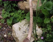 Norse Priestess wand - Gandr - Futhark power